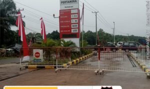 IMG-20250820-WA0093(1)